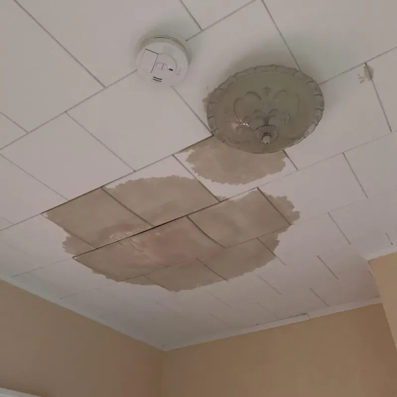 Ceiling Water Damage Repair in Bridgeport, NE