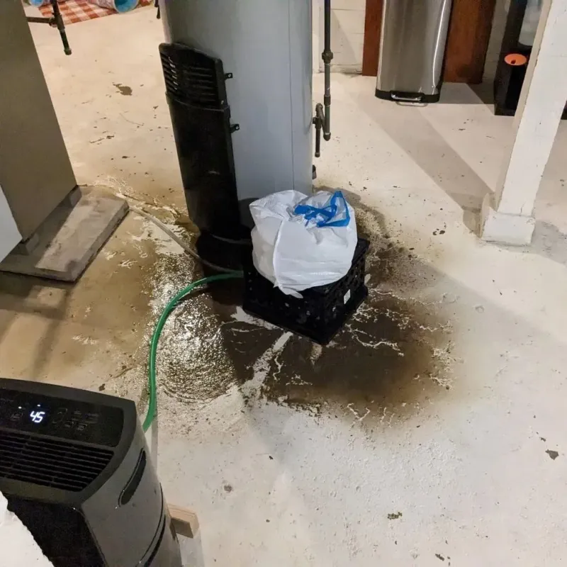 Sewage Backup Cleanup Service in Bridgeport, NE